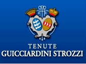 Guicciardini Strozzi